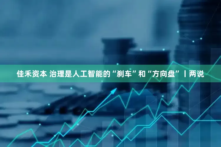 佳禾资本 治理是人工智能的“刹车”和“方向盘”丨两说