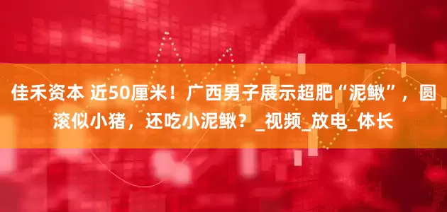 佳禾资本 近50厘米！广西男子展示超肥“泥鳅”，圆滚似小猪，还吃小泥鳅？_视频_放电_体长